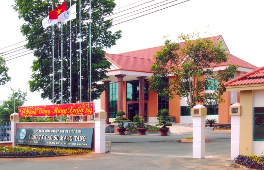 Gia Lai: Một công ty cao su bị xử phạt do vi phạm trong lĩnh vực đất đai